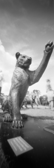 Lion Sculpture, pinhole