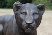 Lion Sculpture