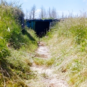 Path to Barracks