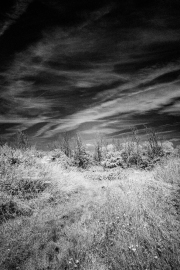 Infra-red field