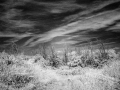 Infra-red field