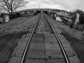 Rail Tracks, fisheye lens
