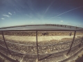 Severn Estuary at low tide, fisheye lens