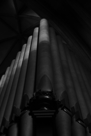 Organ pipes