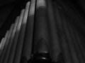 Organ pipes