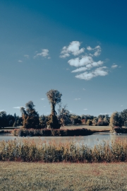 Lake and trees