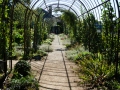 Arch and shadows