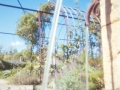 Fountain, pinhole