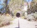 Arch and shadows, pinhole