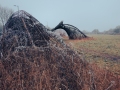 Whale Sculpture, and melting frost