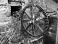 Water wheel cog