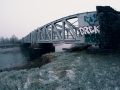 Metrobus Bridge, frosty morning