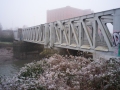 Metrobus Bridge, frosty morning