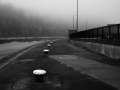 Mooring posts in the mist