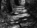 Path shadow