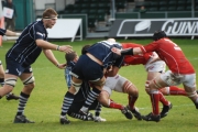 (SRH_7114.jpg)
