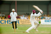 Courtney Walsh