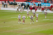 Roger Craig and reserve quarterbacks