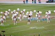 Dolphins cheerleaders