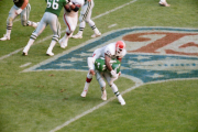 Randall Cunningham hit