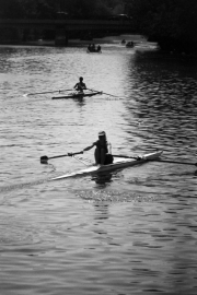 Silhouette Scullers