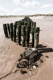 Groyne and lobster pot