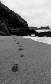 Footprints