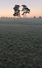 Frosty Downs