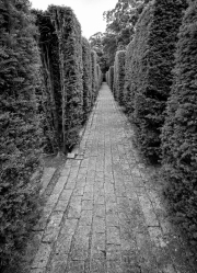 Hedge path