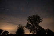 Stars with Silhouetted Trees