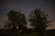 Night Sky and Path with Silhouetted Trees