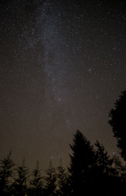 Milky Way and Trees