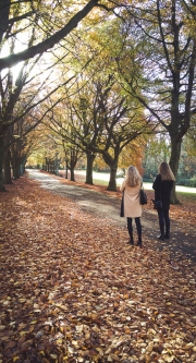 Photographing the autumn colours