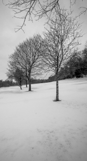 Snow on Henbury Golf Course