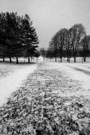 Snow on Henbury Golf Course