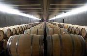 Wine barrels