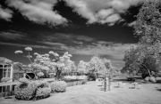 Art garden in infra-red