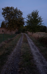 Path at dusk