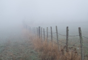 Fence in the fog