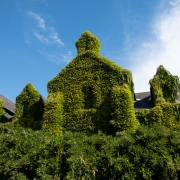 Obscured House