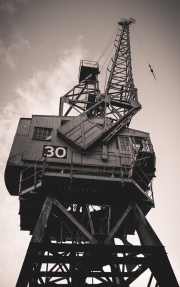 Crane 30