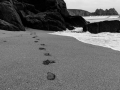 Footprints