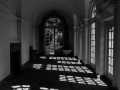 Orangery shadows