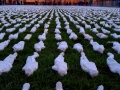 Shrouds of the Somme