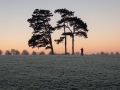 Frosty Downs with Photographer