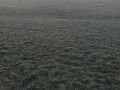 Frosty Downs