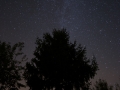 Milky Way and Tree