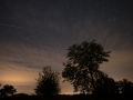 Stars with Silhouetted Trees