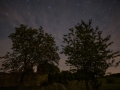 Night Sky and Path with Silhouetted Trees