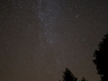 Milky Way and Trees